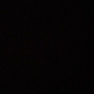 Meet your Posher, Leo